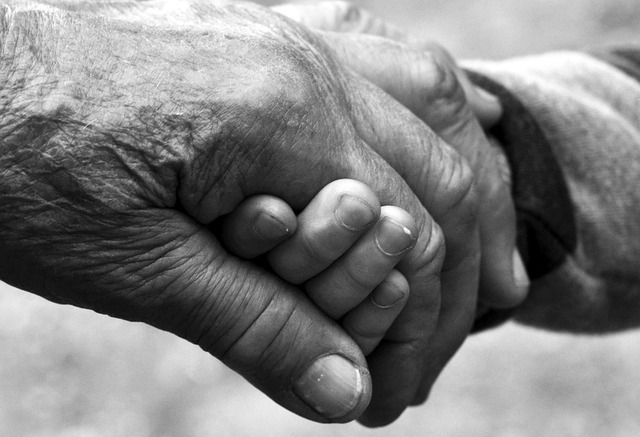 Rehber61 ile Sağlıklı Yaşam Tüyoları Rehber61 ile Sağlıklı Yaşam Tüyoları
